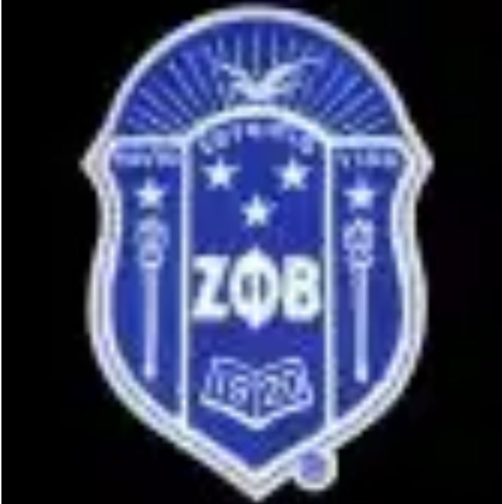 ZPB Chenille Shield 10 1/2” Emblem w/ Heat Seal Backing