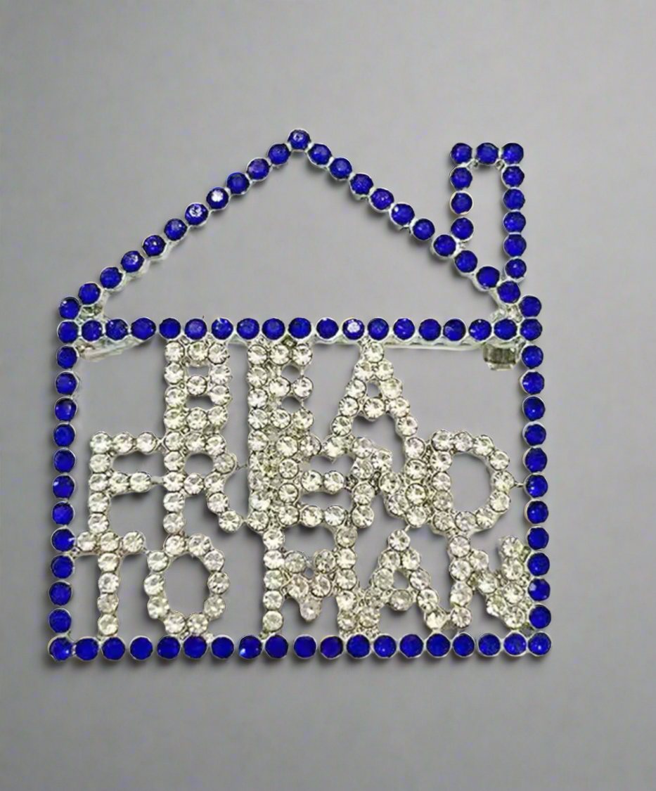 Zeta "Be a Friend to Man" Lapel Pin (Blue)