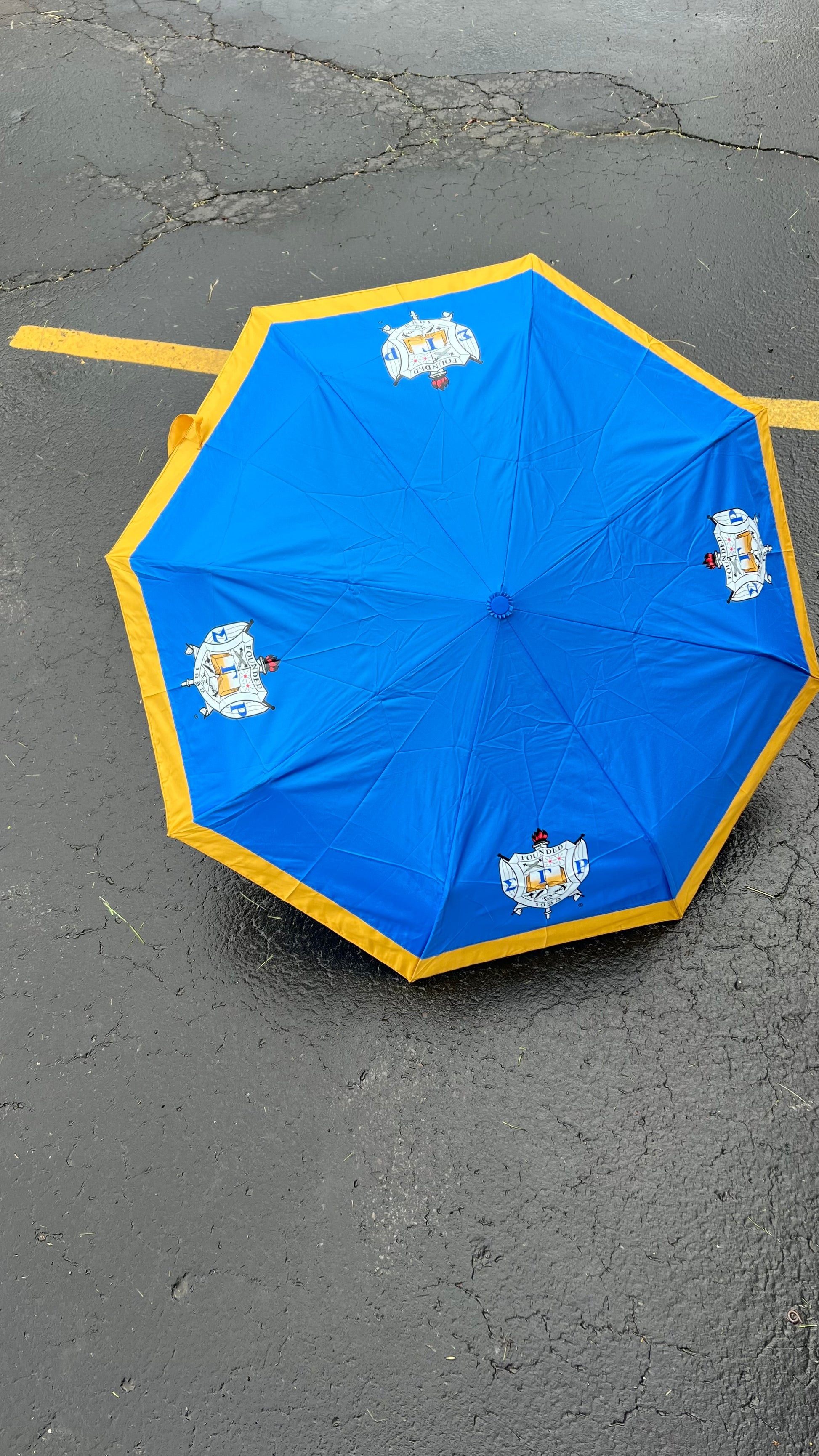SGRho Mini Umbrella