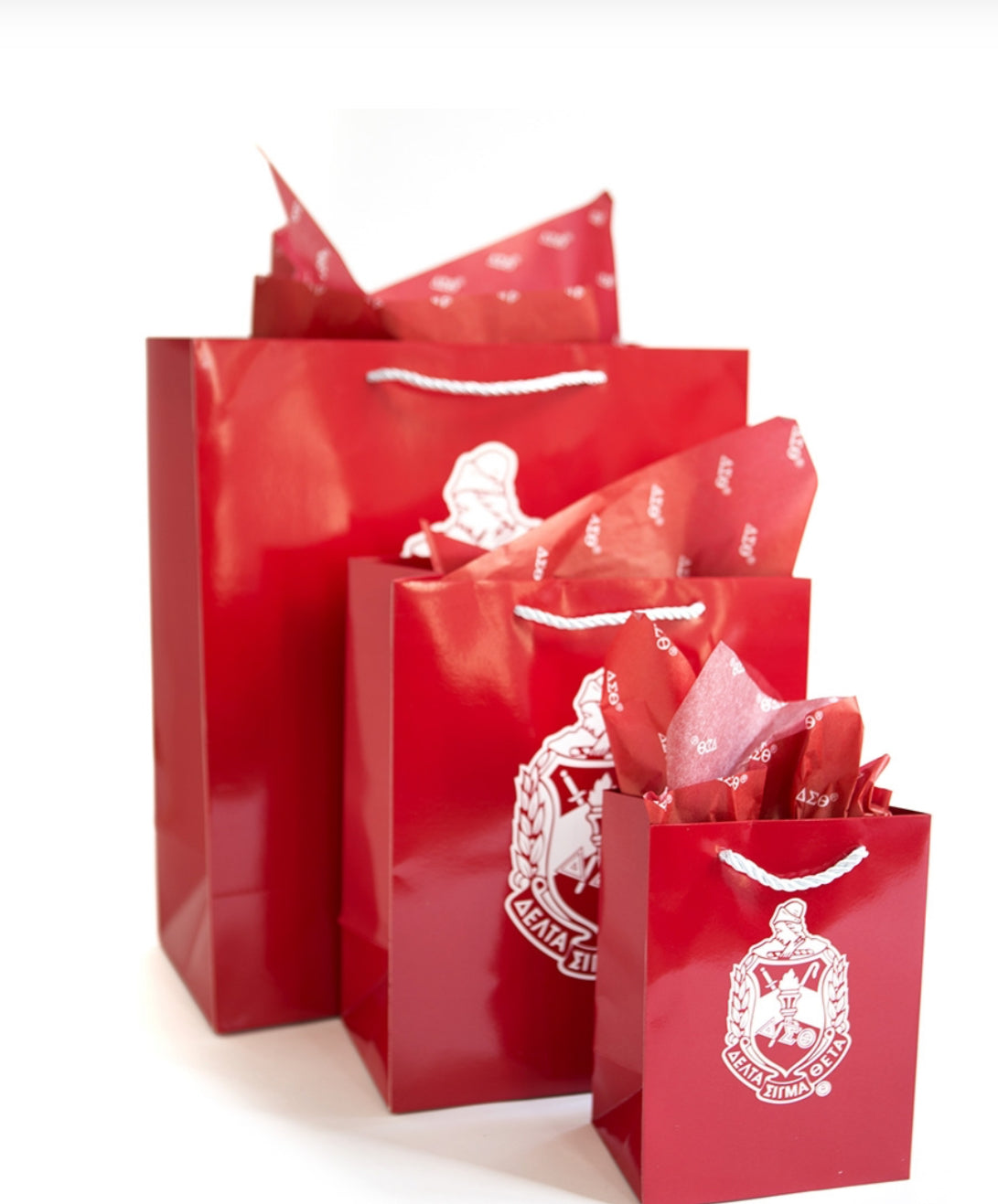 DST Red Gift Bag Sets 3x