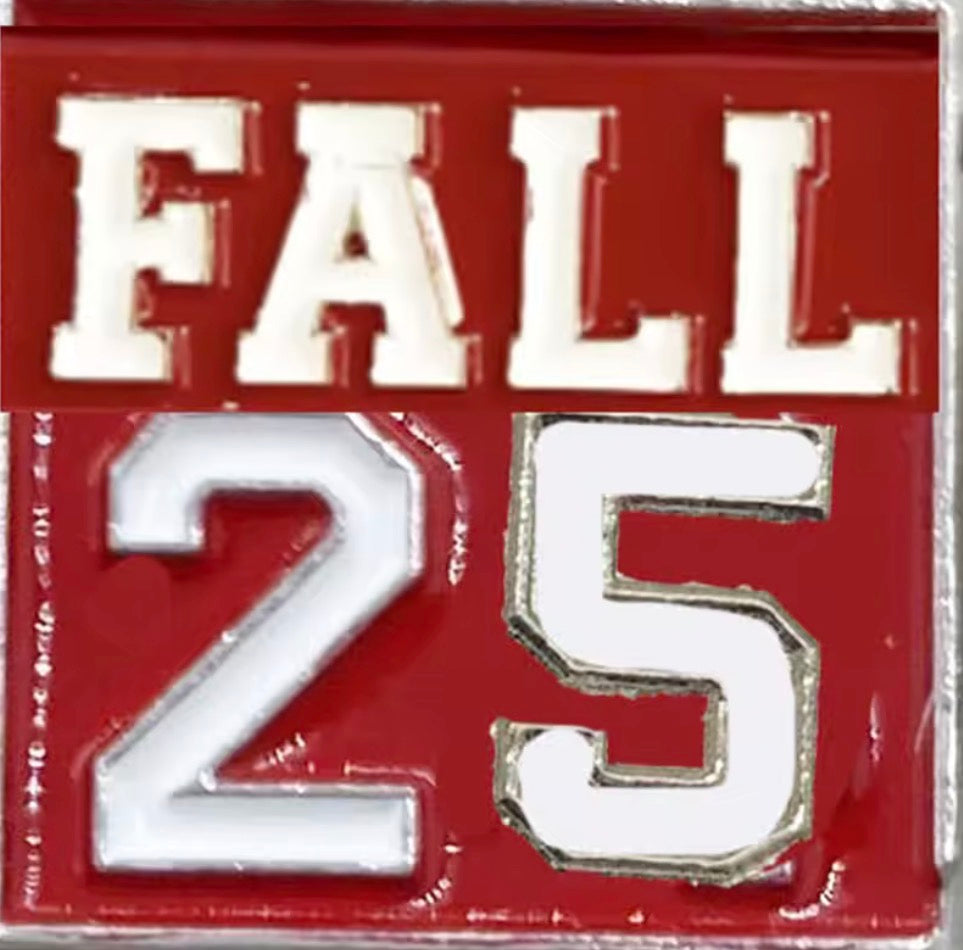 DST Fall 25 lapel Pin