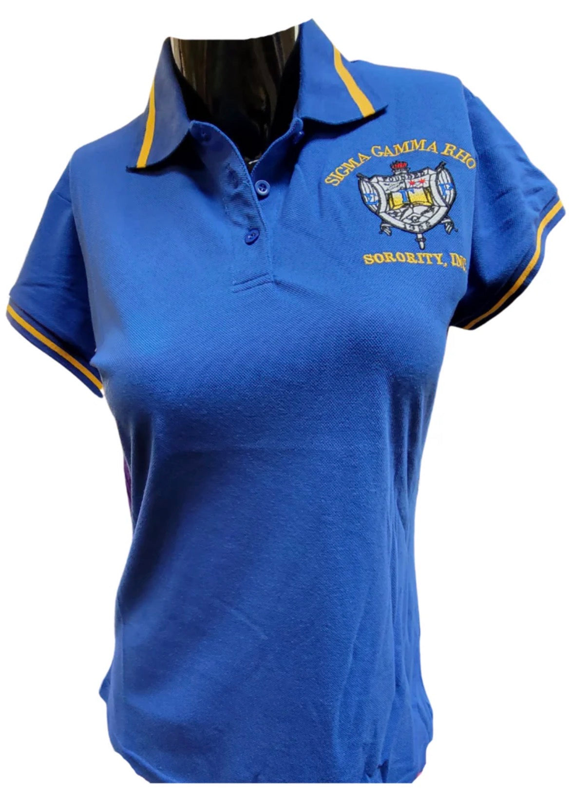 SGRho Polo