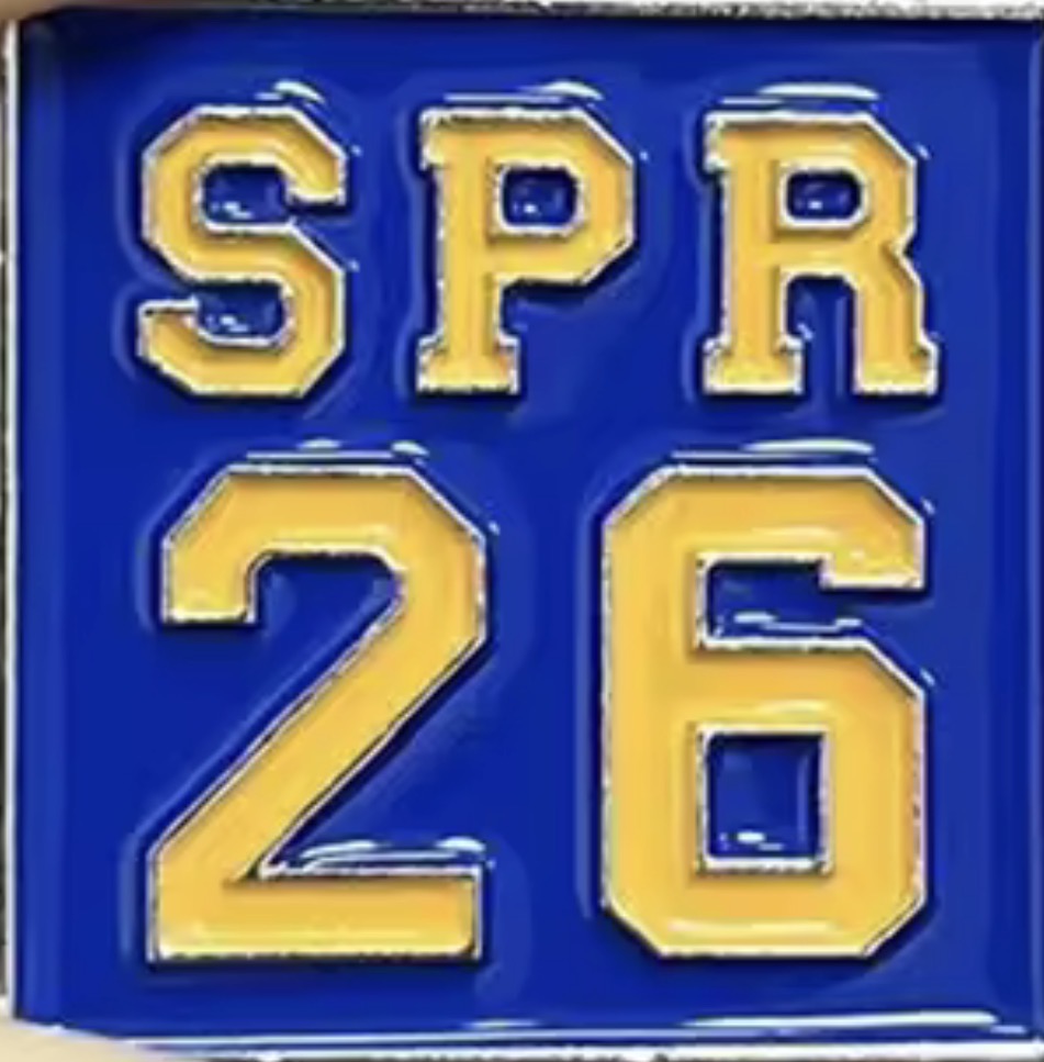 SGRho Spring 26 Pin