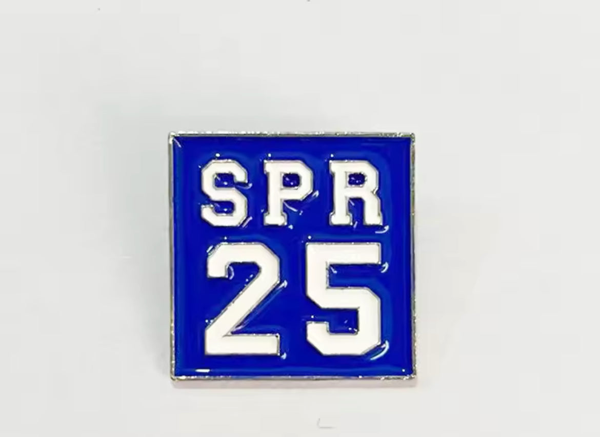 Zeta Spr 25 Lapel Pin