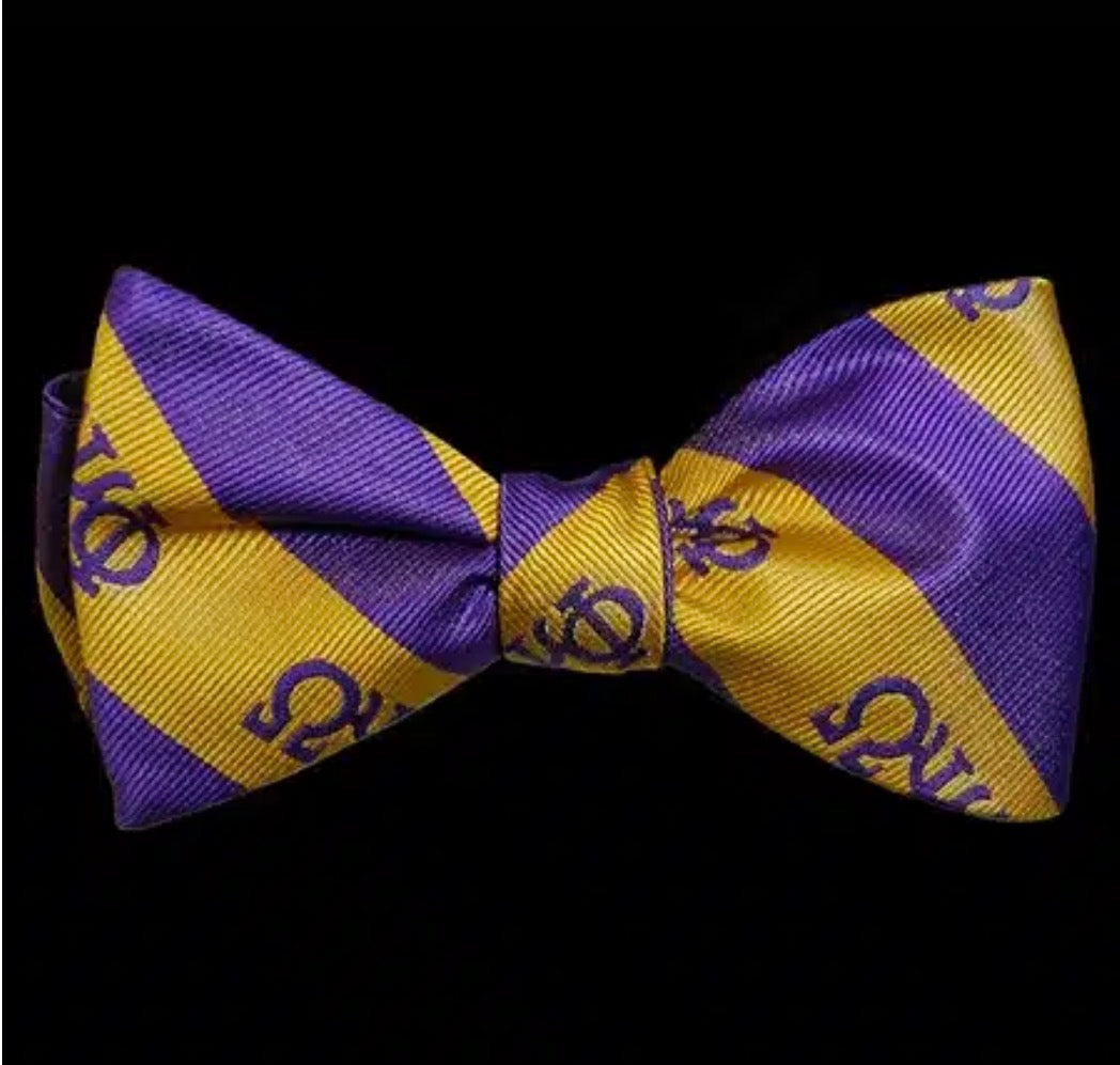 Que Bow Tie & Handkerchief Set Purple /Gold
