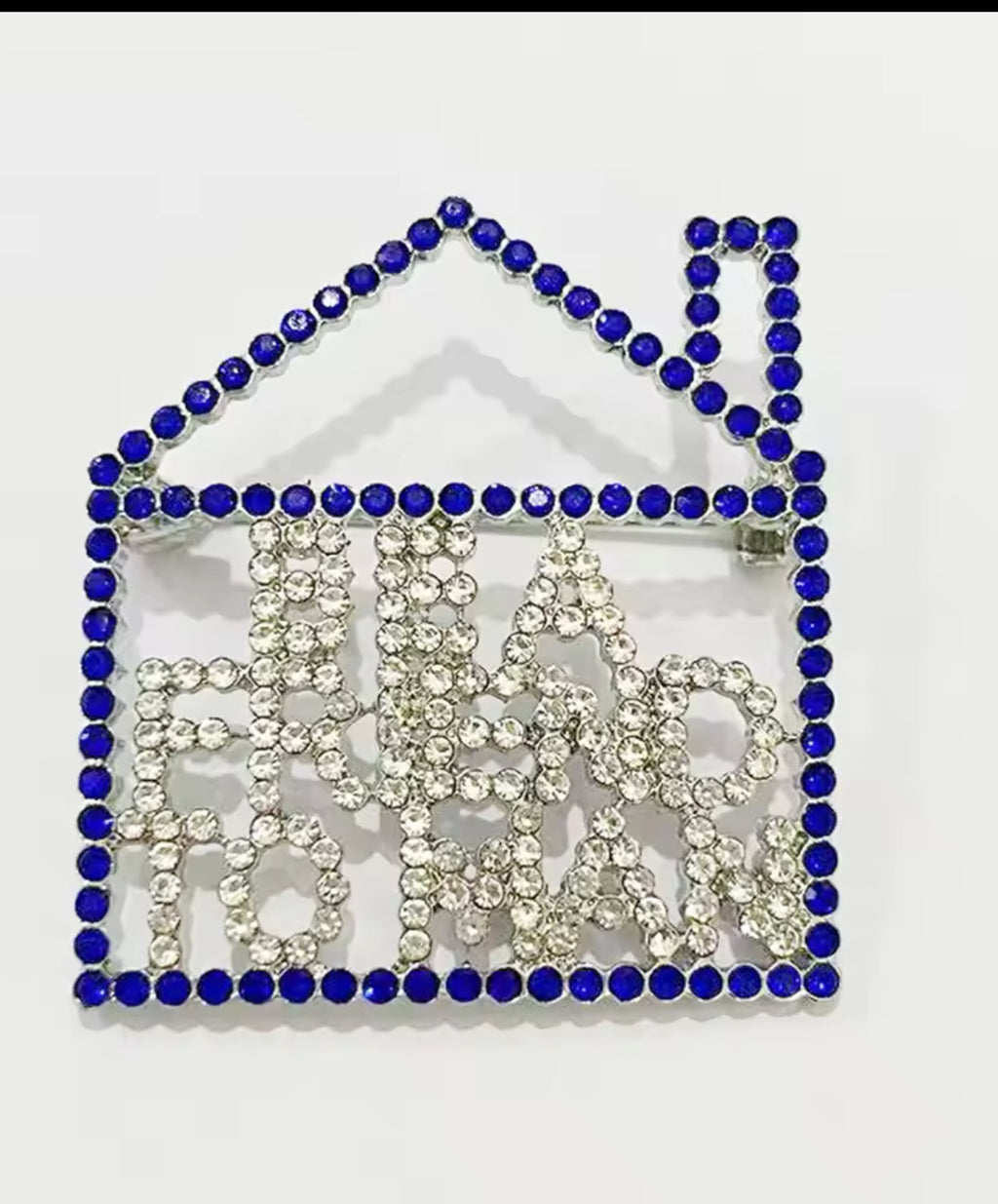 Zeta "Be a Friend to Man" Lapel Pin (Blue)